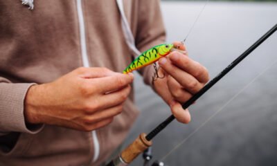 Essential Tips for Mastering the Spinnerbait