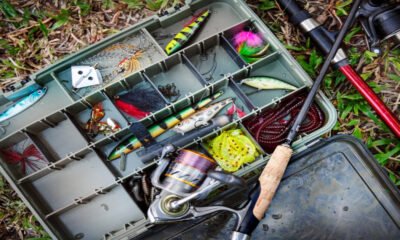 the essential items needed for organizing a tackle box