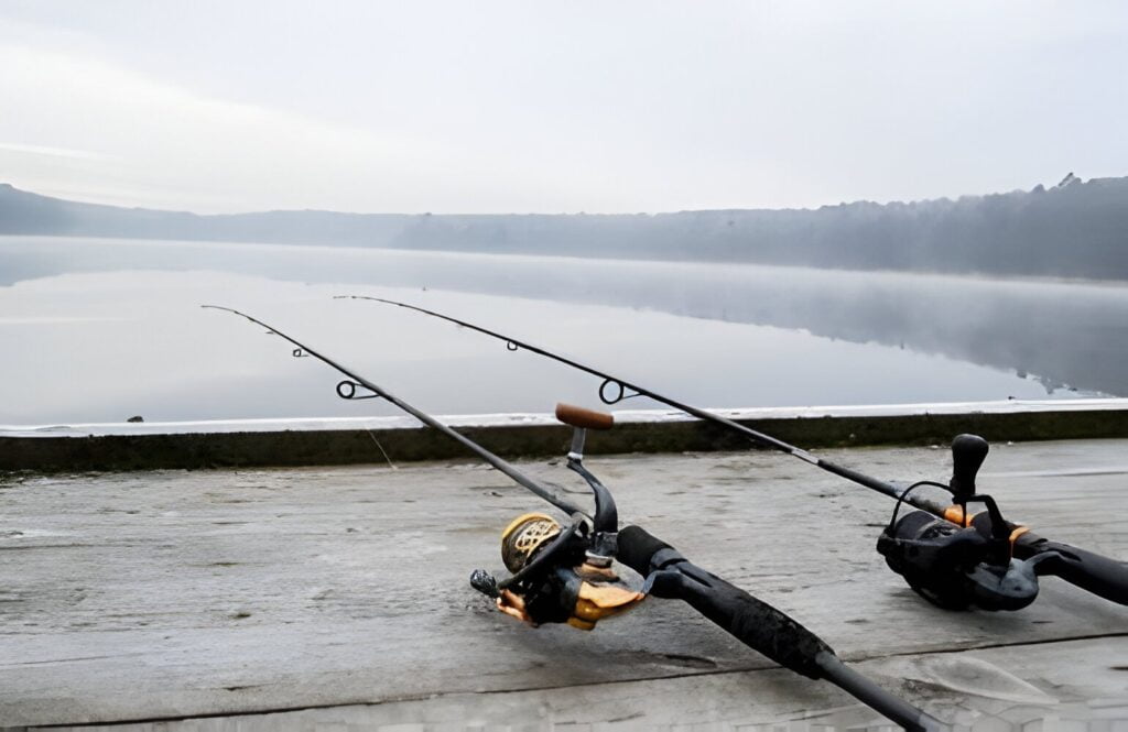 Fishing rod and wheels