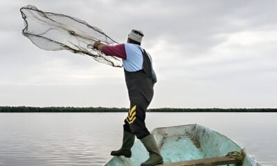 How to Throw a Small Cast Net Like a Pro