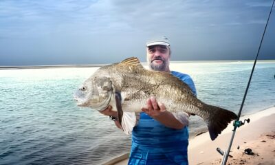 The Pros and Cons of Eating Black Drum Fish