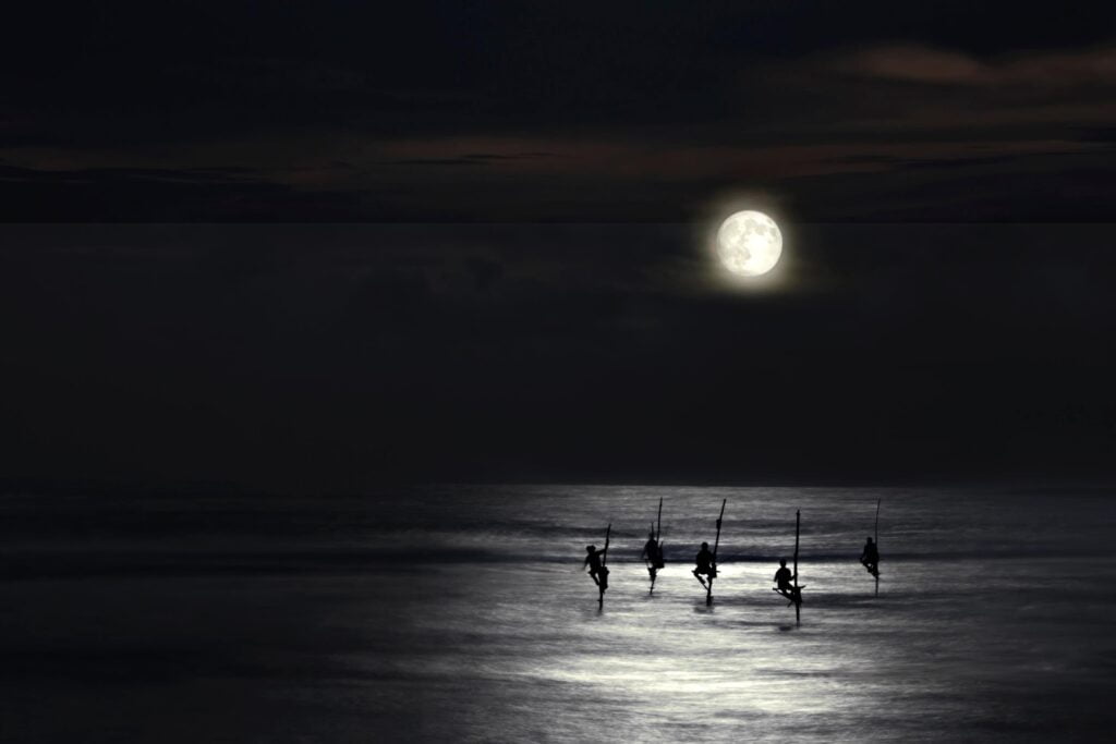 Fishing in Full Moon Day