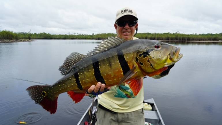 Peacock Bass Catch