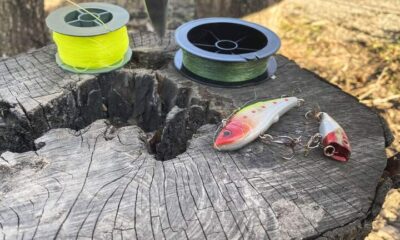 Fishing Line color