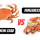 Dungeness Crab vs Snow Crab