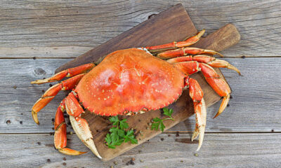 How to Cook Dungeness Crab