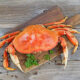 How to Cook Dungeness Crab