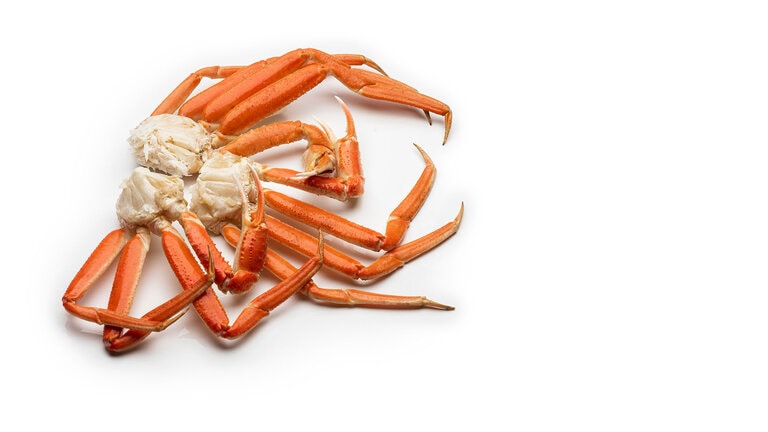 Snow Crab