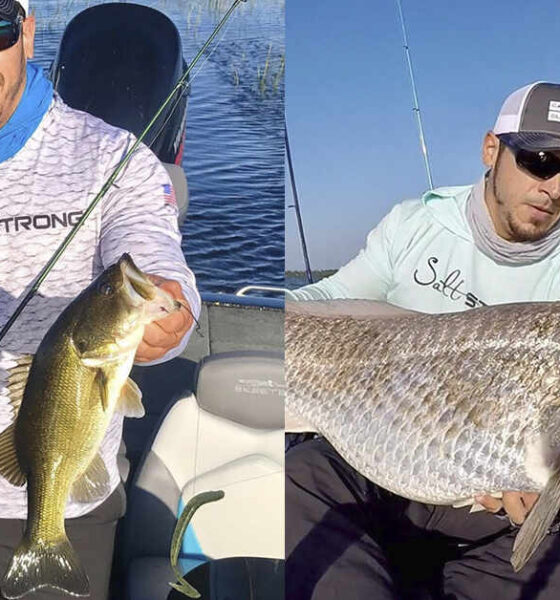 Bass Freshwater or Saltwater