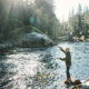 Fly Fishing