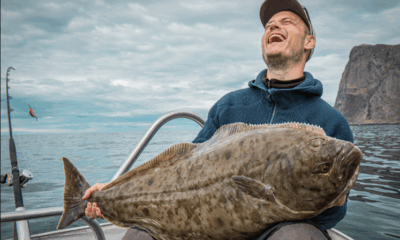 Halibut