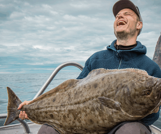 Halibut