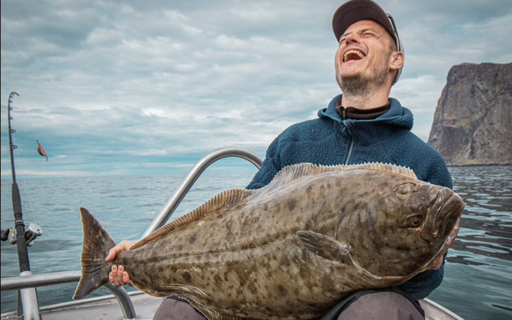Halibut