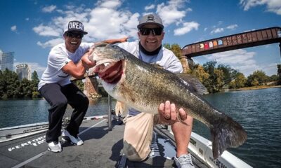 Largemouth Bass