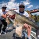 Largemouth Bass