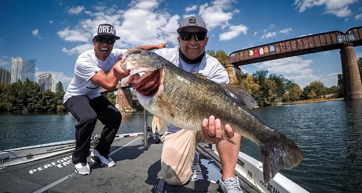 Largemouth Bass