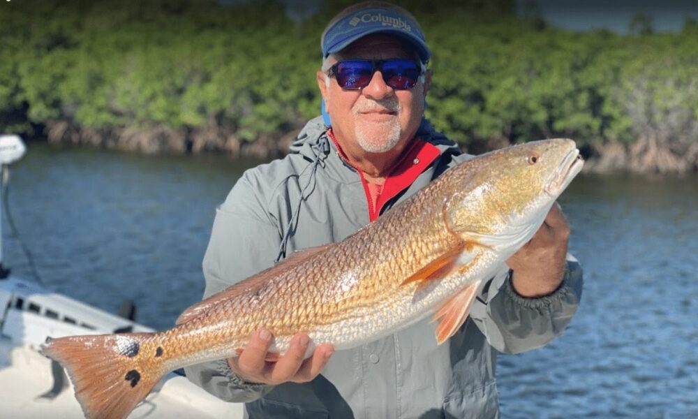Red Drum Fish