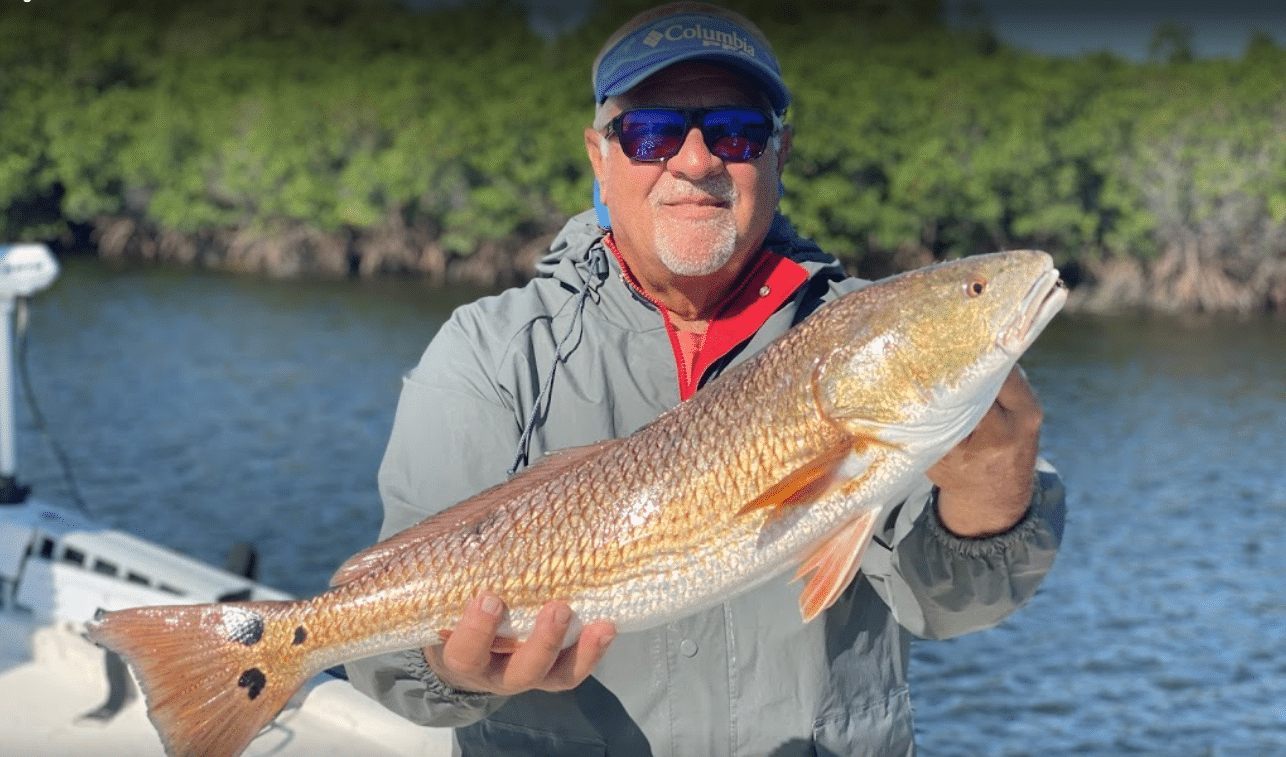 Red Drum Fish