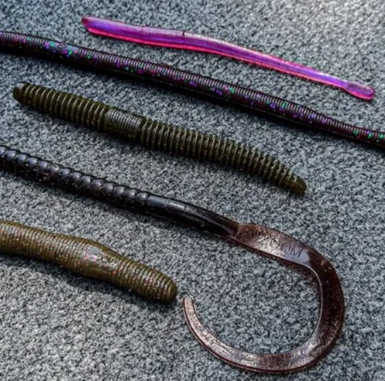 Worm Baits