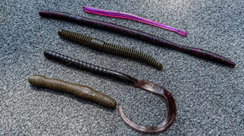 Worm Baits